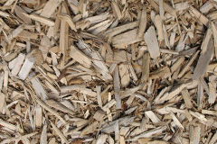 biomass boilers Milden